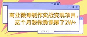 商业微课制作实战变现项目,这个月我做微课赚了2W+-聊项目
