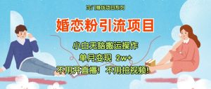 小红书婚恋粉引流,不用开直播!不用拍视频!不用做交付-聊项目