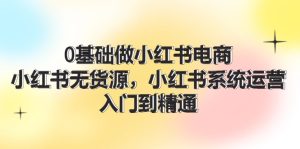 0基础做小红书电商,小红书无货源系统运营,入门到精通 (70节)-聊项目