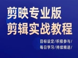 剪映专业版剪辑实战教程,目标设定/积极参与/每日学习/持续精进-聊项目