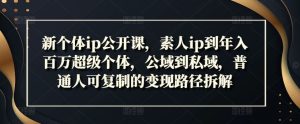 新个体ip公开课,素人ip到年入百万超级个体,公域到私域,普通人可复制的变现路径拆解-聊项目