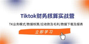 (11978期)Tiktok财务核算实战营:TK业务模式/数据核算/应收款及毛利/数据下载及报表-聊项目