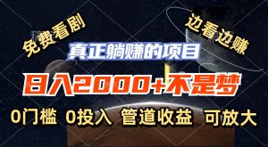 (11979期)免费看剧,边看边赚,日入2000+不是梦,一个真正的躺赚项目-聊项目