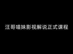 汪哥影视解说正式课程:剪映/PR教学/视解说剪辑5大黄金法则/全流程剪辑7把利器等等-聊项目