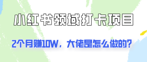 通过小红书领域打卡项目2个月赚10W,大佬是怎么做的?-聊项目