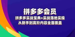拼多多会员实战宝典+实战落地实操,从新手到高阶内容全面覆盖-聊项目