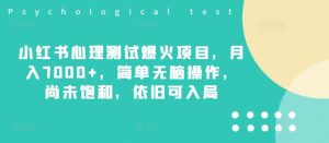 小红书心理测试爆火项目,月入7000+,简单无脑操作,尚未饱和,依旧可入局-聊项目