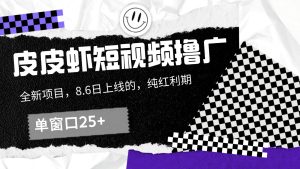 皮皮虾短视频撸广,单窗口收益25+!-聊项目