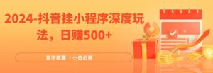 2024全网首次披露,抖音挂小程序深度玩法,日赚500+,简单、稳定,带渠道收入,小白必做-聊项目