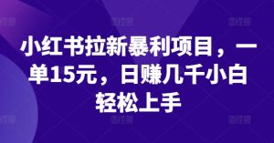 小红书拉新暴利项目,一单15元,日赚几千小白轻松上手-聊项目