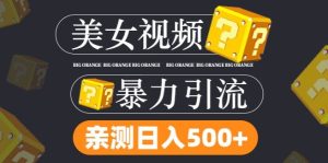 搬运tk美女视频全网分发,日引s粉300+,轻松变现,不限流量不封号-聊项目