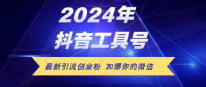 (12149期)24年抖音最新工具号日引流300+创业粉,日入5000+-聊项目