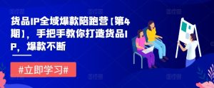 货品IP全域爆款陪跑营【第4期】,手把手教你打造货品IP,爆款不断-聊项目