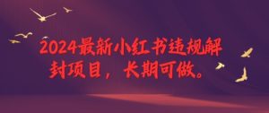 2024最新小红书违规解封项目,长期可做,一个可以做到退休的项目-聊项目
