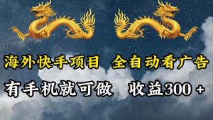 (12175期)海外快手项目,利用工具全自动看广告,每天轻松 300+-聊项目