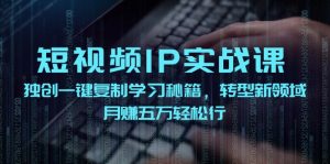 (12193期)短视频 IP实战课,独创一键复制学习秘籍,转战新领域,月赚五万轻松行-聊项目