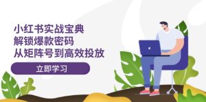 (12201期)小红书实战宝典:解锁爆款密码,从矩阵号到高效投放-聊项目