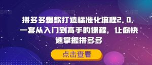 拼多多爆款打造标准化流程2.0,一套从入门到高手的课程,让你快速掌握拼多多-聊项目