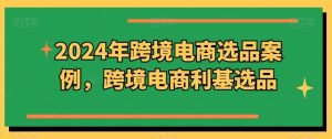 2024年跨境电商选品案例,跨境电商利基选品(更新)-聊项目