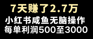 七天赚了2.7万!每单利润最少500+,轻松月入5万+小白有手就行-聊项目