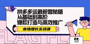 (12260期)拼多多运最新营秘籍:业绩 增长实战课,从基础到高阶,爆款打造与高效推广-聊项目