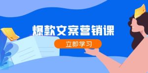 爆款文案营销课:公域转私域,涨粉成交一网打尽,各行业人士必备-聊项目