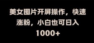 美女图片开屏操作,快速涨粉,小白也可日入1k【揭秘】-聊项目