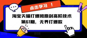 淘宝天猫打爆班原创高阶技术第61期,无界打爆款-聊项目