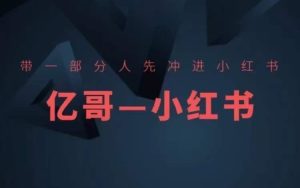 带一部分人先冲进小红书,小红书开店、选品、爆款裂变-聊项目