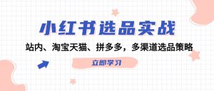 小红书选品实战:站内、淘宝天猫、拼多多,多渠道选品策略-聊项目