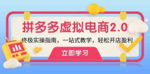 拼多多虚拟项目2.0:终极实操指南,一站式教学,轻松开店盈利-聊项目