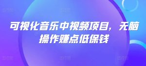 可视化音乐中视频项目,无脑操作赚点低保钱-聊项目