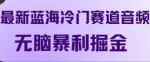 最新蓝海冷门赛道音频,无脑暴利掘金-聊项目