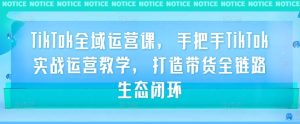 TikTok全域运营课,手把手TikTok实战运营教学,打造带货全链路生态闭环-聊项目