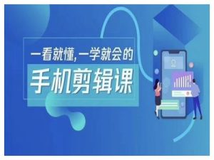 抖音手机剪辑运营变现课,一看就懂,一学就会的-聊项目