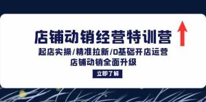 店铺动销经营特训营:起店实操/精准拉新/0基础开店运营/店铺动销全面升级-聊项目