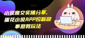 小说推文实操分享,蛋花小说APP拉新故事混剪玩法-聊项目