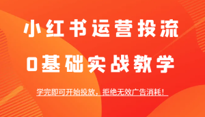 小红书运营投流,0基础实战教学,学完即可开始投放,拒绝无效广告消耗!-聊项目