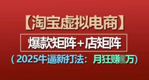 淘宝虚拟电商,2025牛逼新打法:爆款矩阵+店矩阵,月入过万-聊项目