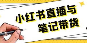 小红书直播与笔记带货:选品、上架、笔记写作、视频剪辑及直播话术等-聊项目