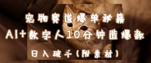 宠物赛道爆单秘籍：AI+数字人10分钟造爆款，日入1k-聊项目