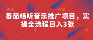 番茄畅听音乐推广项目,实操全流程日入3张-聊项目