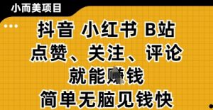小而美的项目,抖音小红书B站视频点赞、关注、评论就能挣钱,简单无脑立见收益,妥妥的零撸项目【揭秘】-聊项目