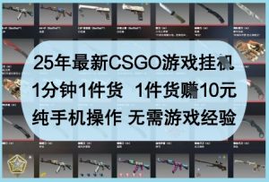 25年最新CSGO游戏挂G,1分钟1件货,1件货挣10元,纯手机操作,无需游戏经验【揭秘】-聊项目