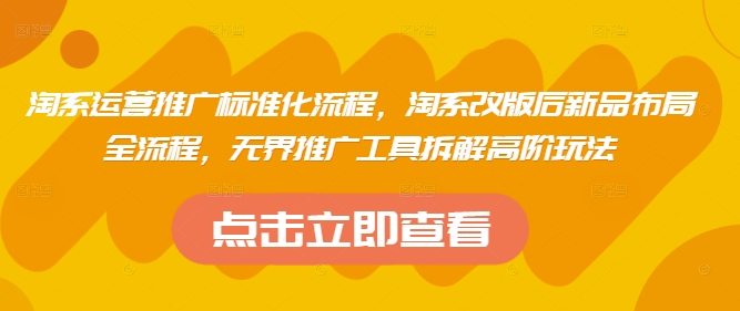 淘系运营推广标准化流程，​淘系改版后新品布局全流程，无界推广工具拆解高阶玩法-聊项目