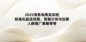 2025淘系电商实训班:标准化起店流程,智能计划与拉新,人群推广策略等等-聊项目