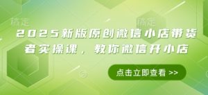 2025新版原创微信小店带货者实操课,教你微信开小店-聊项目