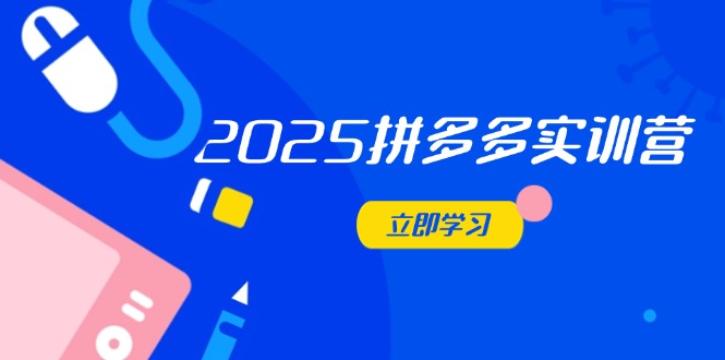 2025拼多多实训营：深度剖析运营关键，助力电商人快速提升-聊项目