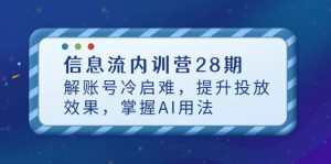 信息流内训营28期,解账号冷启难,提升投放效果,掌握AI用法-聊项目