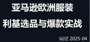 跨境电商选品案例24-25年,聚焦跨境电商选品策略与运营优化,助力卖家挖掘蓝海市场-聊项目
